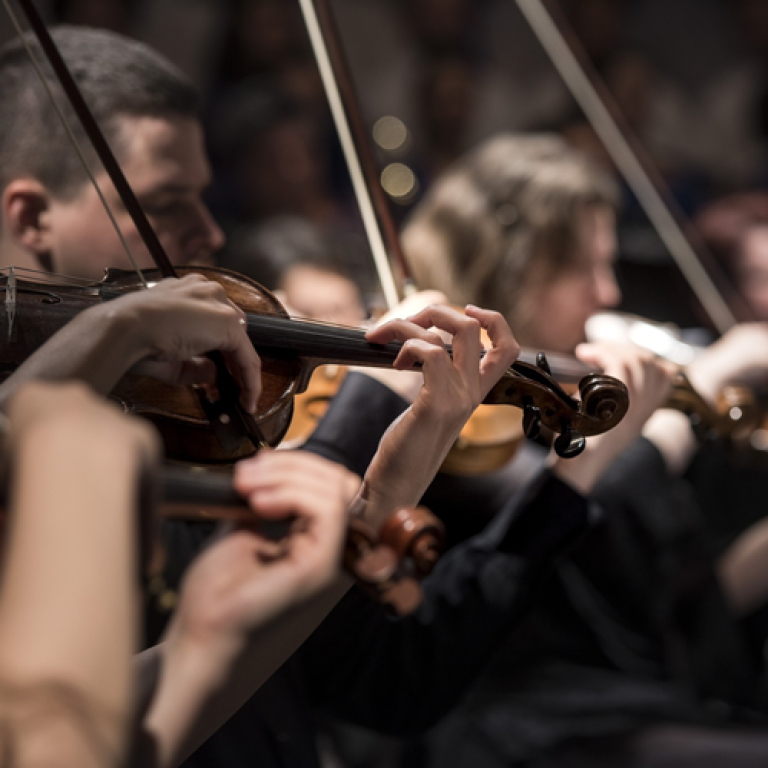 Violine_11